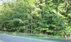 Bring your plans and build your dream home! Located on a peaceful country road, property has nice stone walls, great residential area, desired Minisink Valley School District.Listing originally posted at http