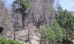 Beautiful vacant lot with forest setting. 39728 Flicker Fawnskin, CA 92333 USA Price