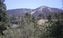 BEAUTIFUL SKI SLOPE VIEWS. HIGHLY DESIRABLE AREA CLOSE TO BEAR MOUNTAIN SKI RESORT. THIS PARCEL HAS PRIVACY AND SCENIC VIEWS OF THE SKI SLOPES AND SURROUNDING MOUNTAINS. SELLER'S ALSO OWN "MOUNTAIN VISTA RESORT" ON CLUBVIEW AND MAY NEGOTIATE A DEAL IN