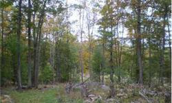 Calling all nature lovers!!! This beautiful piece of property is within walkable distance to the lake, surrounded by state land, nature at its finest! Listing originally posted at http