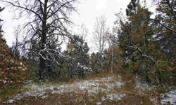 10.22 acres for sale off Tetro Rock Road in Roosevelt Ridge subdivision. $75,000. Accessible off Tetro Rock Road/Maitland Road. Forested. Level to sloping hillside. Close to Deadwood, Lead, & Spearfish.Listing originally posted at http