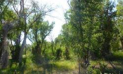 Affordable lot on the dry bed canal! Here is your chance to own a more affordable lot that is on the dry bed of the Labelle Canal. There's many established trees and lots of wildlife! Not to mention privacy and seclusion!! Don't miss out on this