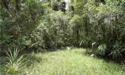 Here is a piece of Old Florida land 11.75 Acres. This property does have limited water access to the Myakka River to use a canoe or small Johnboat. This property has power on it. This would be ideal for someone who just wants to "get away" for adventure,