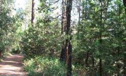 Beautiful usable acreage located in desirable Bitney Springs area. Great tree coverage creates a private secluded getaway. This is a dream come true property! Less then 10 minutes to historic downtown Grass Valley. Corners and property lines previously