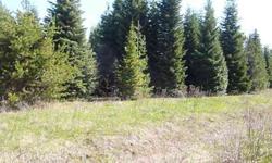 One of two 20 acre parcel, adjacent to each other. Seller will sell both for $149,900. Easy to get to, not far off a county road. Wonderful mt. views, and many trees. SELLER WILL CARRY A CONTRACT WITH 15% DOWN,6% INTEREST, AMMORITIZED OVER 30 YEARS, ALL