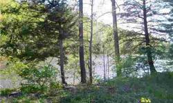 Location, Location, Location! Nice lot in a well established subdivision close to Watertown and Fort Drum. The perfect spot to build your new home. Great view of the Black River. Grab your kayak or fishing pole and enjoy a day on the river. The lot is