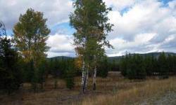 Prime 8.04 acre lot located just minutes from the shore of Bitteroot Lake. Level building site with septic approval, power and telephone at street. Protective covenants.
Listing originally posted at http