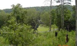 GREAT HUNTING PROPERTY OR SPOT FOR HOME OR CABIN. 50 FT ROAD FRONTAGE STARTS AT HUGE BOULDER ON THE LEFT. BORDERS CHATTOOGA COUNTY.Listing originally posted at http