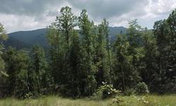 14 miles North of Bakersville, NC across from Roan Mountain in the Roan Highlands area. The property is South facing, surrounded by the Pisgah Nation Forest, elevation 3200 ft to 4000 ft, with an undisturbed high elevation forest ecosystem, 2 high