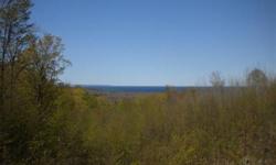 Lovely 4.49 acre wooded lot in Harbour Ridge, a site condiminium just S of Little Traverse Lake & scenic M-22 highway. Lot 19 offers a level building site up near the private association roadway while the southern portion of the parcel rolls and slopes