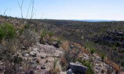 *** Owner Financing at as little as 5% down*** Ever dreamed of owning your own hunting ranch and not paying those yearly lease fees? This is your chance for the unheard of price of only $350/acre. Located in far West Texas. Wide open spaces, clean air,