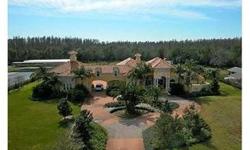 Mediterranean with quality & detail on a private country" three & one half " acre estate located in Odessa. This secure, privately gated with telephone recceiver entry home features a lushly landscaped entry leading to a paved motor court. Europa Stone,