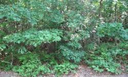 WebID 44299
92 acre of secluded woods.Top location. Close to Southampton Village, Water Mill and Sag Harbor, ocean beaches.Ideal spot to build multimillion dollar home. Terms.
Rose Ave None
David Saland tel