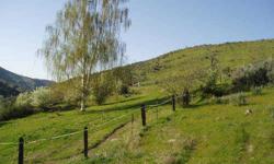 A fantastic ranch and retreat, absolutely! Bring your horses, or just enjoy the property. This property is bordered on two sides by the Chelan Douglas county wildlife trust. There is access to the extensive trails directly from this property. Deer, elk