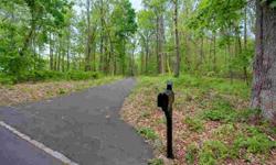 Build your dream home on this 3.93 acres parcel. All city services are available for hookup....water, sewer and natural gas. The listing is also being offered as a residence at MULTIPLE LISTING SERVICE# 2936725.
Listing originally posted at http