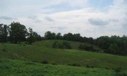 Large central Kentucky farm with rolling hills of pasture and patches of woods. 3 small lakes provide the water for cattle of horses. Several barns for cattle or horse operation. 40x72 tobacco barn, 42x150 feed barn, 30x100 silage bunk, and corn crib.