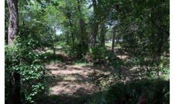 This is the place, if you want river front this place has lots of frontage over 300 feet just down the road from community park, right on a big bend in the river very pretty setting with trails going threw the woods. You can even fly your plane into it,