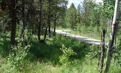 Beautiful Building Site in the Trees! Elevated Lot offers Great Views of the Valley with Privacy in the Trees. Executive Development, Paved Roads, Utilities to Property. Very nice Building lot in a high end development in Alpine. Seller has lowered the