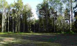 Approx. 2.9 acres in great location out of Navy flight pattern. Tomren Reserve was developed for people who want private wooded acreage lots to build a nice home on with CC&R's to protect property values. Roughed in circular drive, private well (screened,