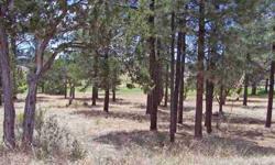 FORE!! Build your mountain home on this .43-acre lot overlooking #1 tee box. Tall Ponderosa Pines are abundant on this slightly sloping lot. On sewer system, utilities to lot lineand paved roads. Be part of a Country Club Community.
Listing originally