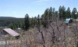 Beautiful, gently sloping 1/2 acre in quiet subdivision. Building site is elevated with spectacular mountain views and backs up to San Juan National Forest. Lots of pine and oak on the lot. Excellent southern exposure for potencial solar gain. Quiet,