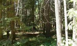One of two prime Ponderosa building lots in Plain's premier recreational community. Treed, level and ready for your dream cabins plans. Adjacent parcel also available