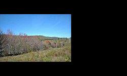 A peaceful dirt road winding through beautiful scenery and mountain views brings you to this catskill mountain land property. Listing originally posted at http