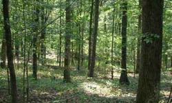 These 25 acres in Johnson County will delight the outdoorsman. All wooded with natural bluffs and outcroppings, this property offers excellent hunting and an abundance of deer and turkey. In addition to the hunting possibilities, property boasts a