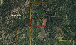 Extreme Privacy and Beauty! 20 acres off the beaten path, state land on two sides, in the rugged and largely undeveloped mountains near Buzzard Lake. Part of an old homestead. Open level meadow, mountainside, mature evergreens. Off grid and one of a kind!