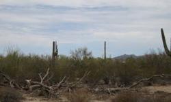 Quiet, pristine, saguaro studded custom home site less than 10 minutes from Twin Peaks/I-10 Interchange. Close to Dove Mountain and Ritz Carlton Resort. Build your dream home with fabulous views of mountains and city lights. Perc test has been done for