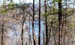 Lake view lot on beautiful Lake Apalachia, a wilderness lake surrounded by USFS. Lake levels remain high year round. Seller will provide a septic permit. $79,900
Listing originally posted at http