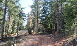 FORECLOSURE...Backing up to the forest service are these two building lots totaling .94 acres are included with this property, also a septic, a 720 sf cement foundation and a driveway. Power and water has also been paid for and brought into the lot. The