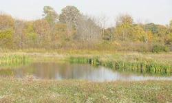 Bruce Twp acreage in Romeo Schools, over 10 acres with front portion cleared and beautiful pond. Borders branch of the Clinton River. Possible walkout site, treed/wooded in rear portion. Area of upscale homes. Very convenient to M-53. Gravel driveway is