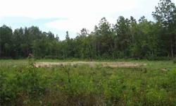 Build your dream home on this 12 acre tract of land with a great view of the morning sunrise and evening sunsets. Cluster of trees in front, but opens to prairie land for the majority of the acreage. Prairie land is high/dry. Approx. 7 acres of the land
