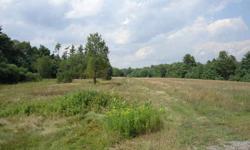 465' of road frontage with this gorgeous 47.69 acre building lot with many acres of mostly cleared fields and has several trails leading though the wooded portions of the property. Would have great potential for a gentlemans horse farm. APA zoned resource
