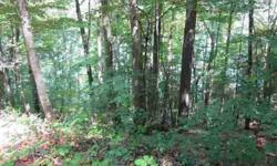 $79,900. Deep year-round lakefront lot with beautiful views Bring your building plans and get ready to build your dream home on Watts Bar Lake. This is a great deal for a deep water lot with a view Presented by Gary Venice, Broker/Owner, REALTOR(R)