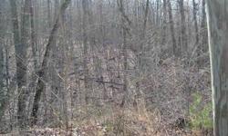 reduced by $20000.00. 3.24+/- acre tract sitting on top of a mountain in Ellijay, Georgia. Breathe taking views overlooking the surrounding mountains from this lot & is ready to be built on immediately. Mature hardwoods, close to Dawsonville and Ellijay.
