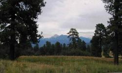 Minutes away from downtown Pagosa Springs, recreational trails in the San Juan National Forest and much more. Access from main paved county road 600 (Piedra Rd), Reserve at Pagosa Peak has paved roads, building guidelines, CCR's, City Water, City Sewer