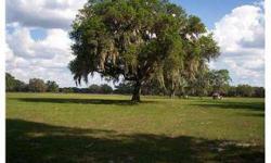 10 +/- vacant acres. Access from SR 50 via 60' easement. Cleared with beautiful grandfather oaks...excellent home site. Property is contiguous with large ranch lands. Property will be deed restricted to conventional built or Class A double-wide mobile