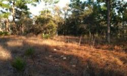 GREAT 1/2 ACRE BUILDABLE LOT IN BROOKSVILLE, FL. LOCATED IN WEST CENTRAL FLORIDA, WITHIN MINUTES TO THE WATER ! HIGH AND DRY, NO-FLOOD REQUIRED. PRICED TO SELL ! POSTED PIC OF ACTUAL LOT AND A COUPLE OF LOCAL WATERFRONT ACTIVITIES THAT ARE FREE TO ENJOY.
