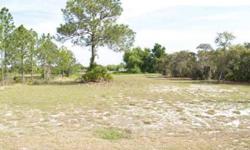 CLEARED & MAINTAINED OVERSIZED LOT. BUILD YOUR DREAM HOME!!
Listing originally posted at http