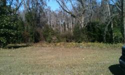 1 acre city water and sewer and power, small CBS storage building . Needs a little cleaning up to have beautiful waterfront view of mill creek cypress pond! If permit purchased can zone mobile home . Paved road just a mile from hospital, grocery store,