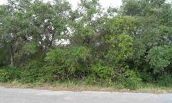 GREAT RESIDENTIAL LOT WITH CITY WATER AND SEWAGE.Listing originally posted at http