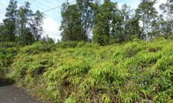 2 buildable lots for sale in tiki gardens, large Ohia trees, affordable middle puna subdivision located off Ainaloa blvd between Keaau and Pahoa. Looking for land? I can help!