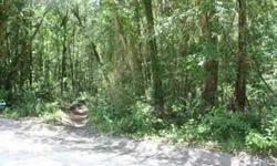 Great lots, just waiting for your new home or manufactured home. Just 300' off the paved road. This lot is close to the Suwannee River and a very short distance to the boat ramp. Other adjoining lots available.Listing originally posted at http