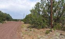 Welcome to Apache County, Arizona and this 1.03 acre ranch in Northeastern Arizona. This lot(lot 32) is located within the Show Low Pines Subdivision and it has POWER at the lot line. This property boasts easy access direct from paved US-60 via about 9