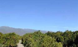 Down a long private driveway lined with citrus trees lies this wonderful land parcel. It's located in Ojai's desirable East End. 7.65-acres of level land nestled in the valley with spectacular 360 degree views, a newer and very productive well, income