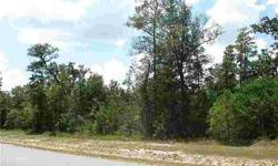 BUILD YOUR DREAM HOME!EXPANSIVE 1 ACRE LOT!Walking Distance to the LAKE!Minutes to Community Clubhouse + Tennis + Basketball + Swimming + Fitness Center & Playground!Easy Access to Woodlands Amenities + I-45 North & Hardy Toll Rd + NEW EXXON
