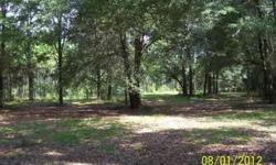 Property is in two 10 acre blocks. First block is in planted pines approximately 12-14 years old. Second block begins at the locked gate and has some planted pines approximately 12-14 years old and the other part of the property is wooded. There is a