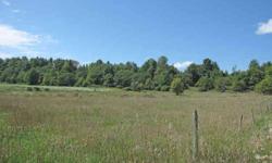 Start a small farm. Home site & pasture near road, hay field on hill - or put a hunting camp at the edge of the upper field with dramatic distant views and lots of game. Hillside has woods, farm road access to upper field.Listing originally posted at http